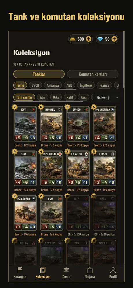 Tank ve komutan koleksiyonu